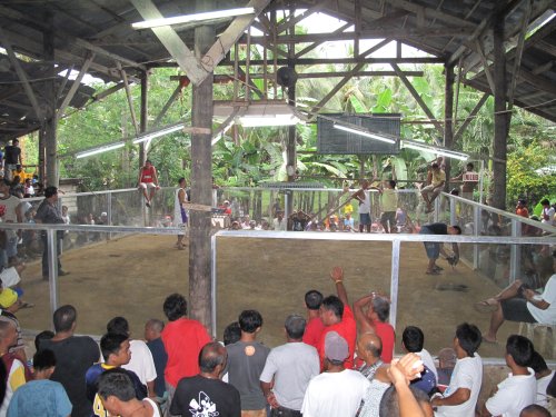 Coqpit Arena Panglao (10)